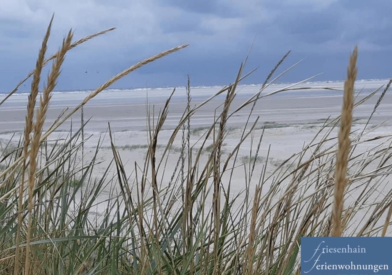 Friesenhain Ferienwohnungen Sankt Peter-Ording Extérieur photo