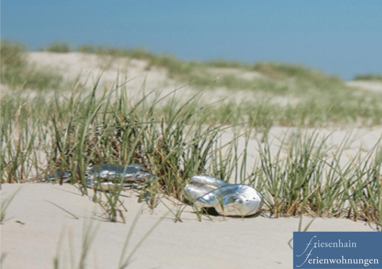 Friesenhain Ferienwohnungen Sankt Peter-Ording Extérieur photo